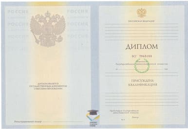 Диплом Набережночелнинского филиала КФУ 2010-2011 годов